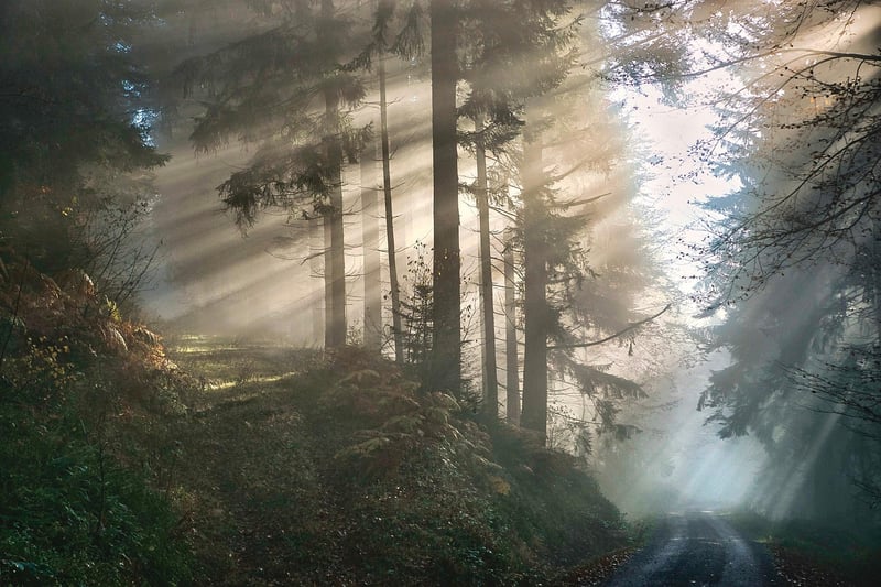 Mystical Landscape